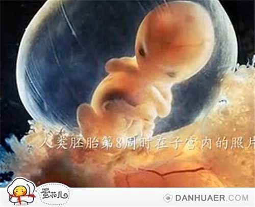 上海找代孕妈妈要多少费用_上海有代孕的男人吗_华大集团与华大基因-广州助孕