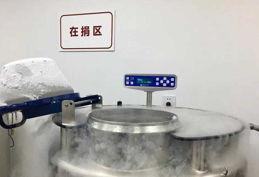 上海有代怀公司吗 上海同济医院供卵 ‘男孩生殖器官b超图片’