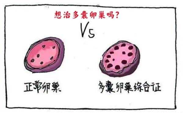 上海捐卵给多少 2022年在上海三甲医院冻卵两年费用大约多少？ ‘36周的b超单子