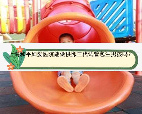 上海和平妇婴医院能做供卵三代试管包生男孩吗？