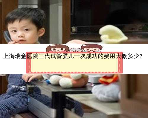 上海瑞金医院三代试管婴儿一次成功的费用大概多少？