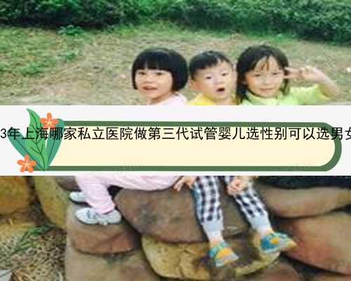 2023年上海哪家私立医院做第三代试管婴儿选性别可以选男女？